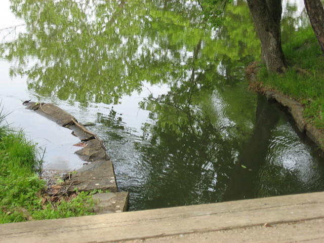 Once the lock is full, water bypasses it via flume.  This is the lock #20 flume.