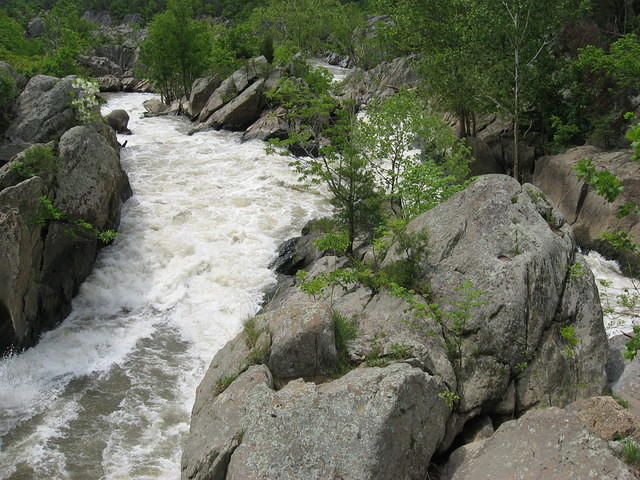 Crossing a gorge at GFP