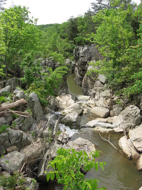 Looking down a gorge at GFP