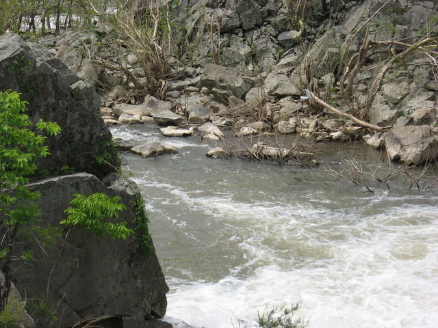 Looking down a gorge at GFP