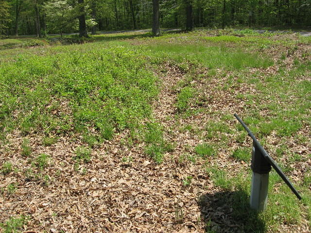 Trenches at the Wilderness