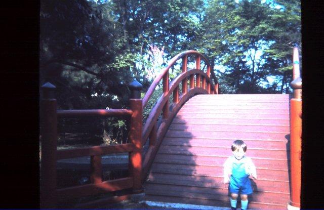 Mike at Shrine Park In summer