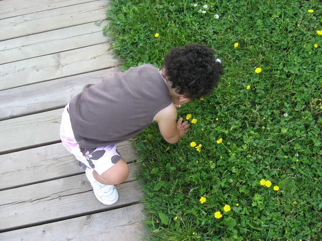 Lily picking flower at Victoria Park