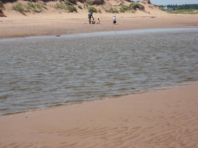 Thomas, Kim, Lily, and Cynthia on beach