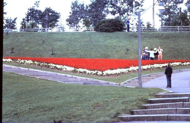 Flowers at Niagara Falls