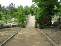 Footbridge to Great Falls of the Potomac