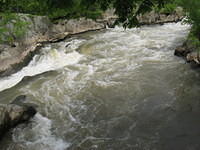 Crossing a gorge at GFP