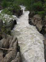 Crossing a gorge at GFP