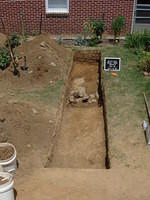 Back yard trench