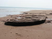 Rocks on beach