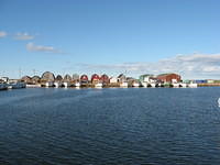 Large fishing fleet at Malpeque