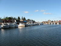 Large fishing fleet at Malpeque